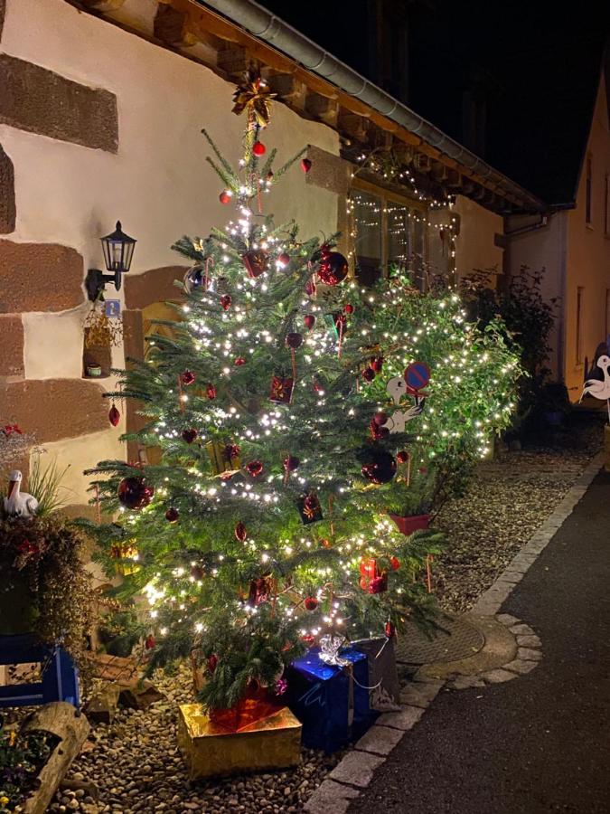 Le Nid De Cigognes Hotell Hengwiller Eksteriør bilde