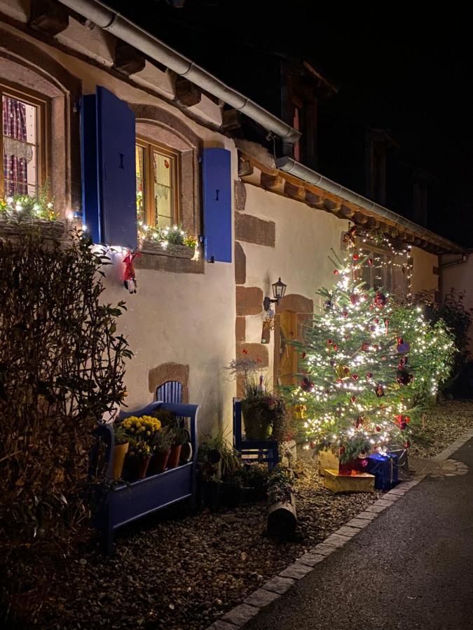 Le Nid De Cigognes Hotell Hengwiller Eksteriør bilde