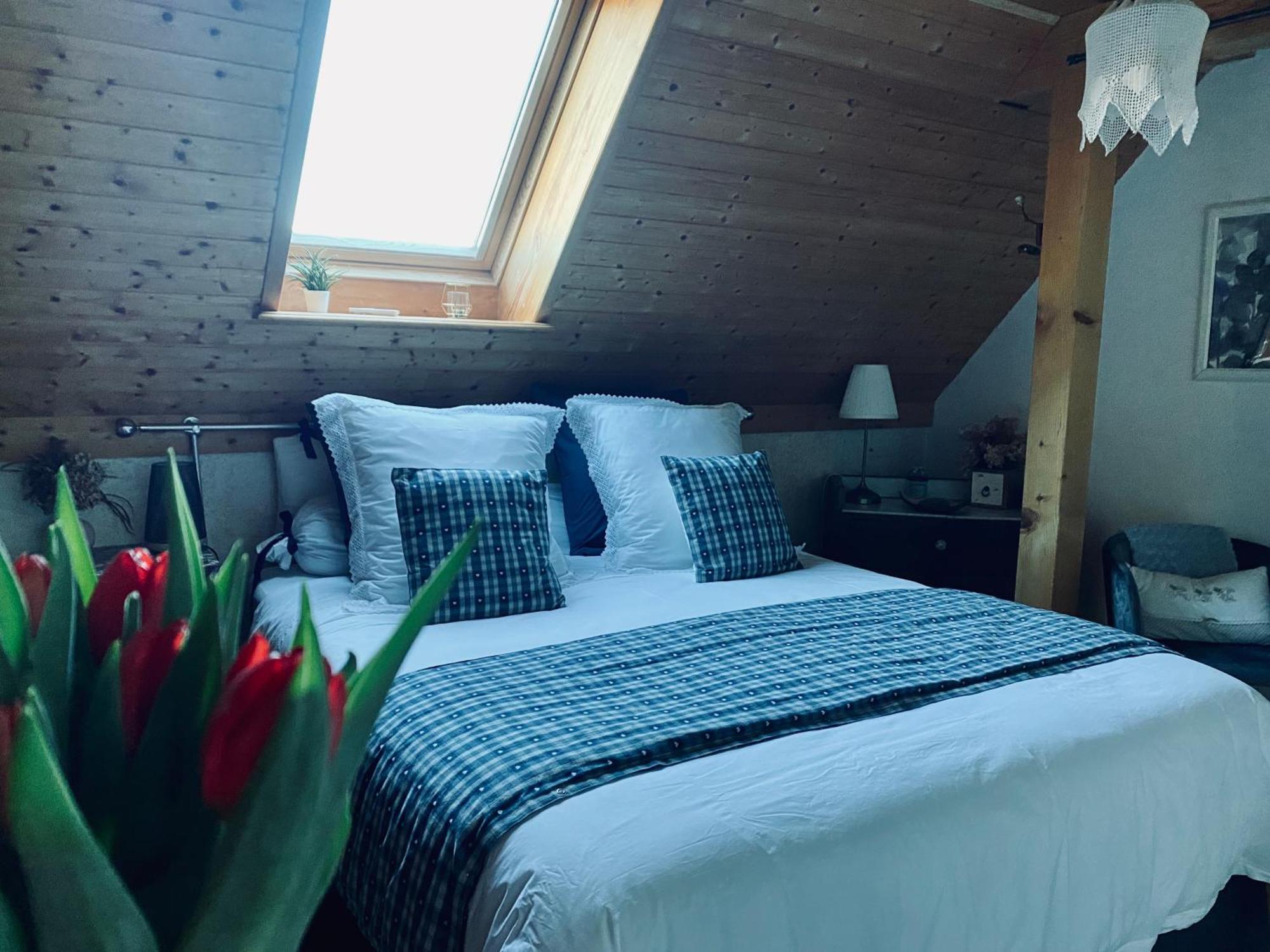 Le Nid De Cigognes Hotell Hengwiller Eksteriør bilde